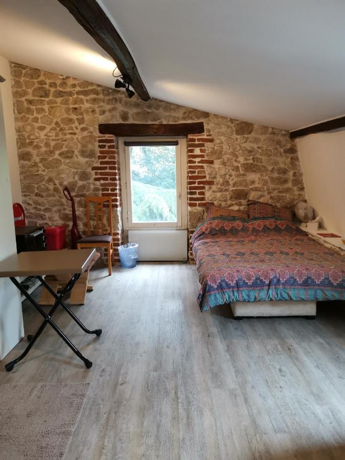 Studette De Jeanne Apartment Orleans Bagian luar foto