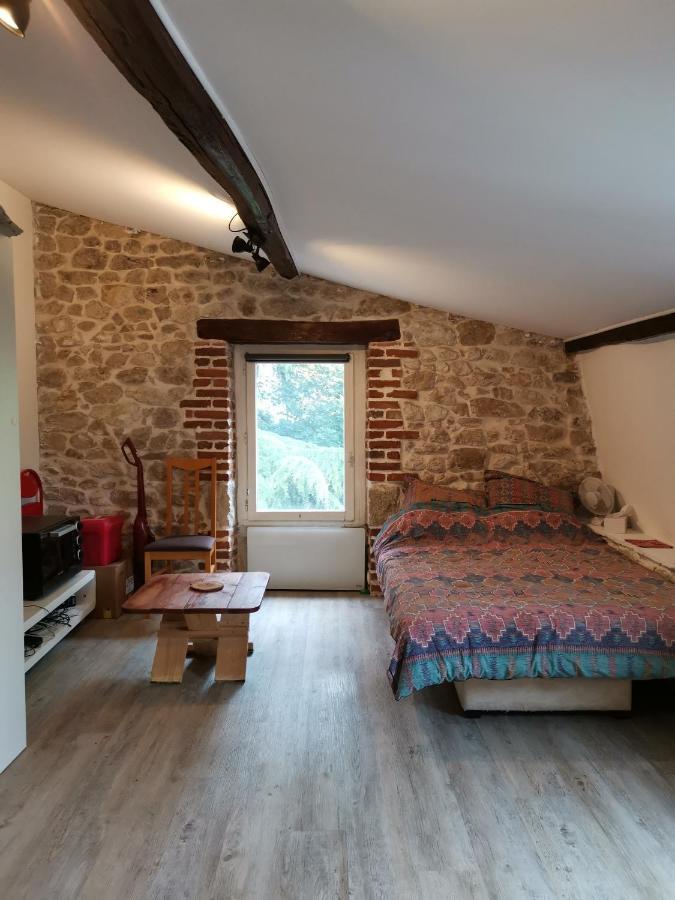 Studette De Jeanne Apartment Orleans Bagian luar foto